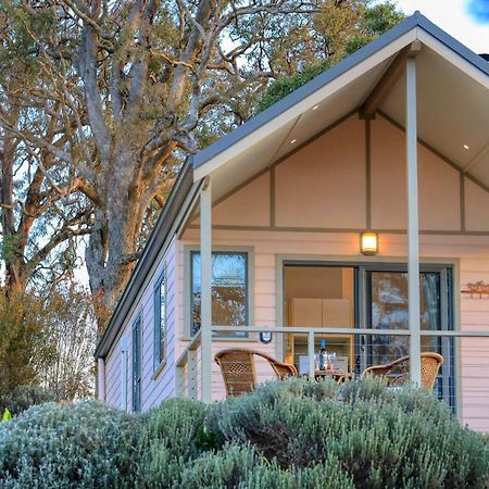 Grace Cottages Uralla Exterior foto