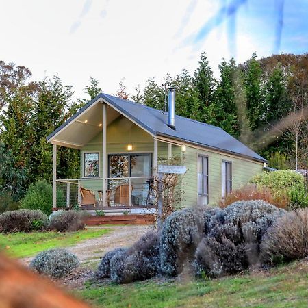 Grace Cottages Uralla Exterior foto