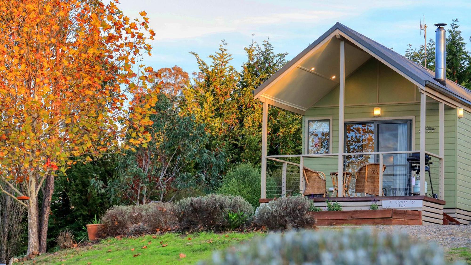 Grace Cottages Uralla Exterior foto